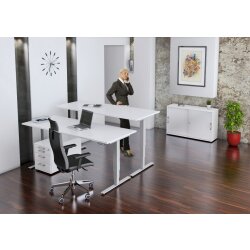Steh-Sitz-Schreibtisch "Ergo Plus" - Freiform...