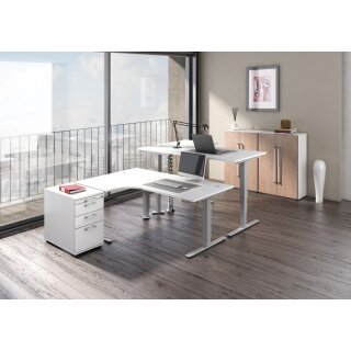 Steh-Sitz-Schreibtisch "Ergo Plus" - Winkel in verschiedenen Ausführungen